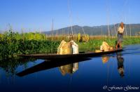  Songes-aquatiques 5 Inle boat going to floating market reccorr.thumb.jpg